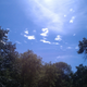 Image for article titled Shooting Challenge: Cellphone Gallery Part 1